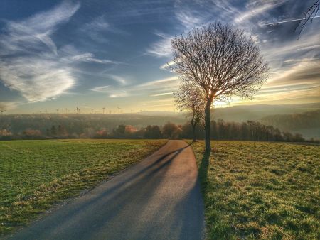 zu sehen ist eine Landschaftsaufnahme am frühen Morgen mit leichtem Nebel und dem warmen Licht der aufgehenden Sonne